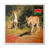 zKE005 KENYA、Lions、Africa、 タイル (正面)