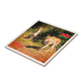 zKE005 KENYA、Lions、Africa、 タイル (側面)