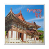 zKP005北朝鮮、平壌トンギー墓王、 タイル (正面)