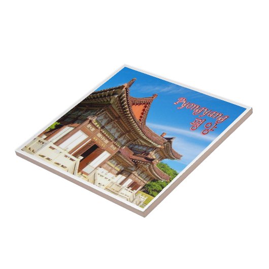 zKP005北朝鮮、平壌トンギー墓王、 タイル (側面)