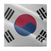 zKR002韓国なびく国旗 タイル (正面)