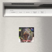 zKY008ケイマン諸島,ケイマン諸島,冷蔵庫 マグネット (インサイチュ (食洗機))