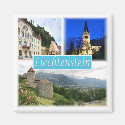 zLI003 VADUZ Liechtenstein、冷蔵庫 マグネット (正面)