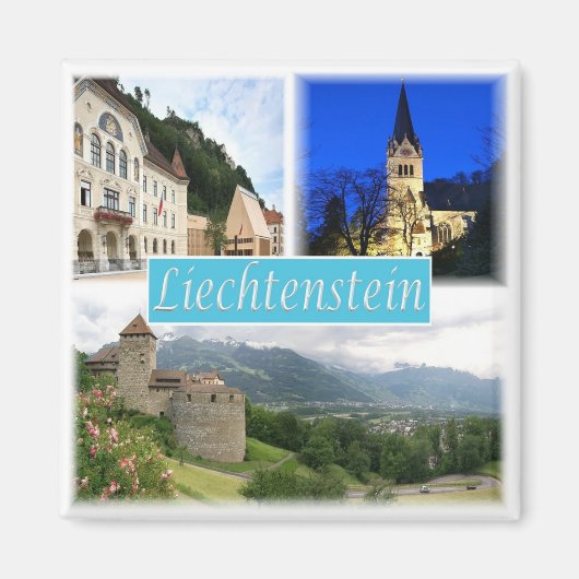 zLI003 VADUZ Liechtenstein、冷蔵庫 マグネット (正面)