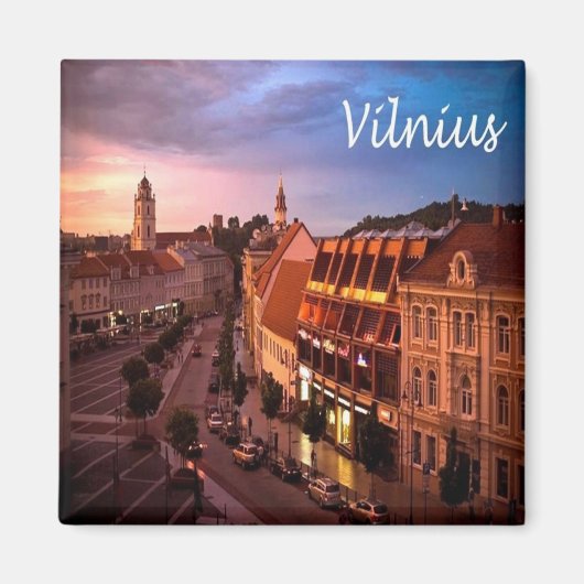 zLT009 VILNIUS,リトアニア,ヨーロッパ,冷蔵庫 マグネット (正面)