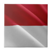 zMC002 MONEGASQUE wavvig FLAG,モナコ公国, タイル (正面)