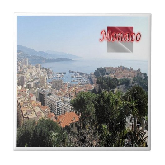 zMC025 MONACOエキゾチック・ガーデンの上から タイル (正面)