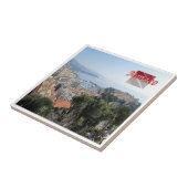 zMC025 MONACOエキゾチック・ガーデンの上から タイル (側面)