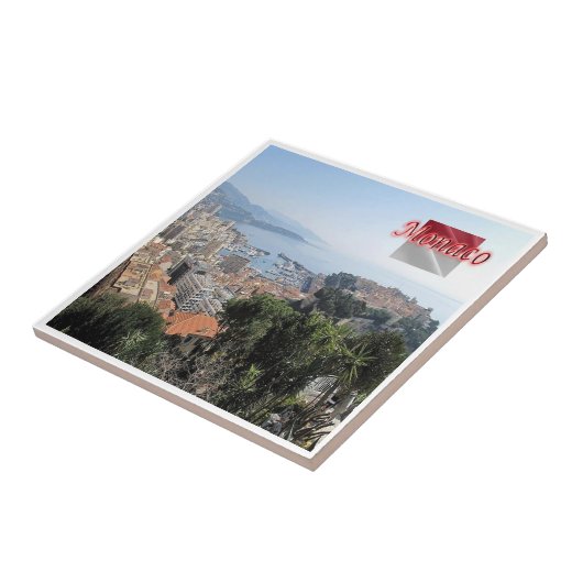 zMC025 MONACOエキゾチック・ガーデンの上から タイル (側面)