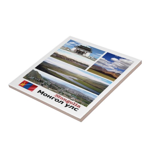 zMN003モンゴリアモザイク，アジア， タイル (側面)