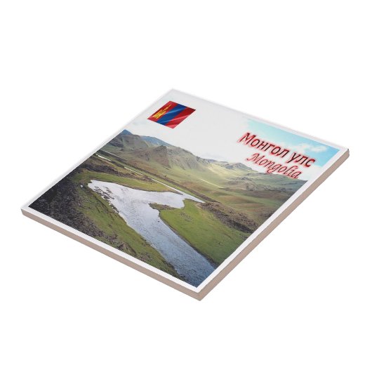 zMN007草原，モンゴル，アジア， タイル (側面)