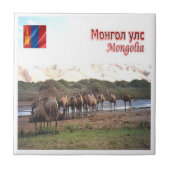 zMN008 KHONGORYN ELS CAMELS，モンゴル， タイル (正面)