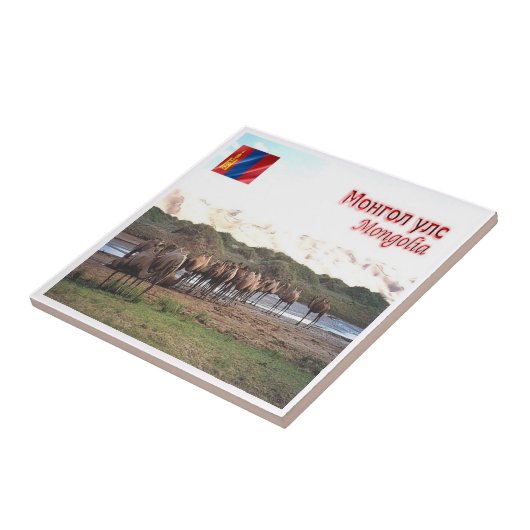 zMN008 KHONGORYN ELS CAMELS，モンゴル， タイル (側面)