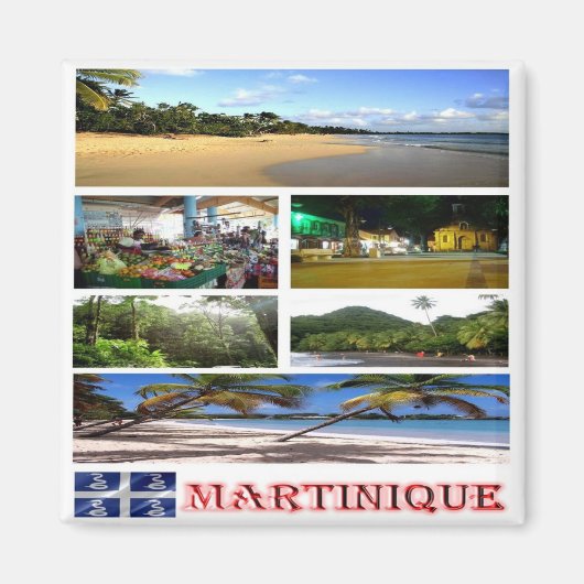 zMQ003 martinique, Mosaic, America,冷蔵庫 マグネット (正面)
