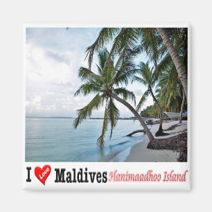 zMV008 HANIMAADHOO, HAA DHAALU ATOLL,モルディブ, マグネット