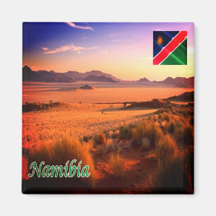 zNA005 NAMIBIA砂漠，アフリカ，冷蔵庫 マグネット