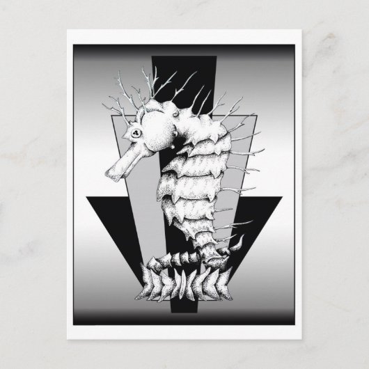 ZNDCスタジオズシーホースタワー ポストカード (正面)