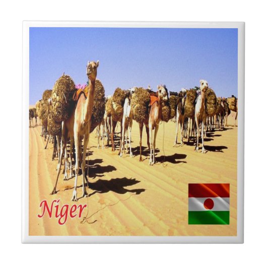 zNE007 NIGER, Oasis Bilma,アフリカ, タイル (正面)