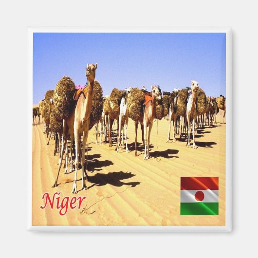 zNE007 NIGER, Oasis Bilma,アフリカ,冷蔵庫 マグネット (正面)