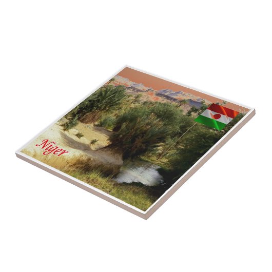 zNE008 NIGER, Oasis Bilma，アフリカ， タイル (側面)