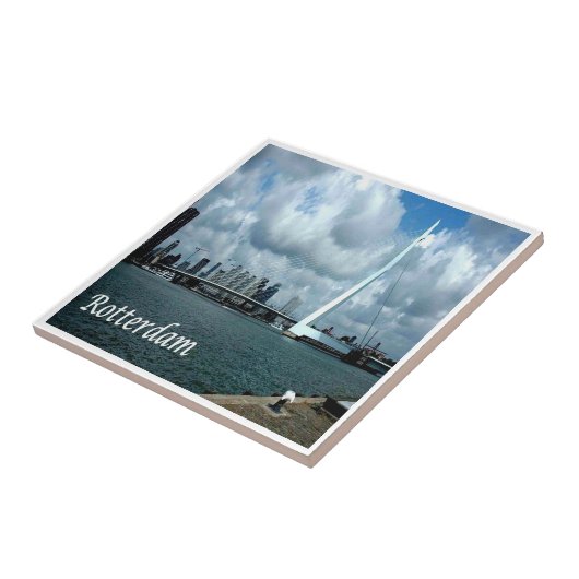 zNL013 ROTTERDAM,オランダ，ヨーロッパ， タイル (側面)