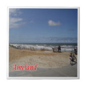 zNL016 AMELAND、オランダ、フリジア諸島、 タイル (正面)