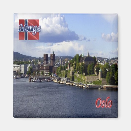 zNO004 OSLO，ノルウェー，ヨーロッパ，冷蔵庫 マグネット (正面)
