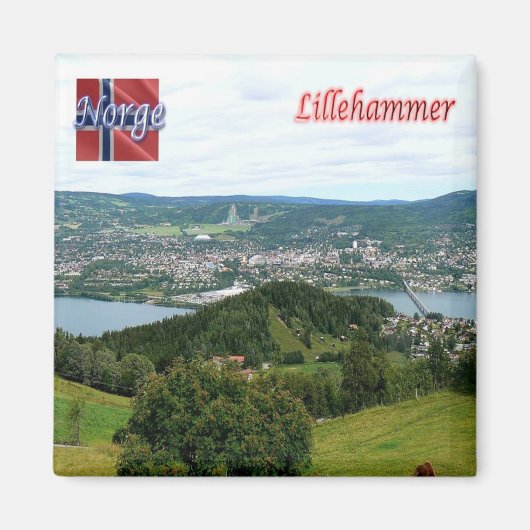 zNO028 LILLEHAMMER，ノルウェー，ヨーロッパ，冷蔵庫 マグネット (正面)