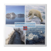 zNO042 SPITSBERGEN,ノルウェー,ヨーロッパ, タイル (正面)