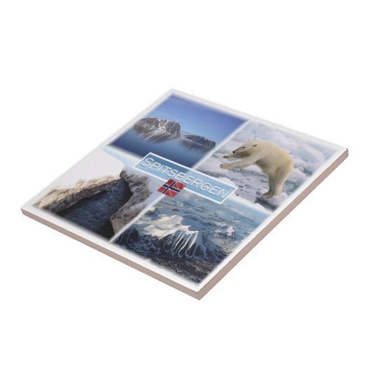 zNO042 SPITSBERGEN,ノルウェー,ヨーロッパ, タイル (側面)