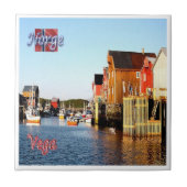 zNO143 VEGA，ノルウェー， タイル (正面)