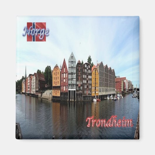 zNO149 TRONDHEIM，ノルウェー，ヨーロッパ，冷蔵庫 マグネット (正面)