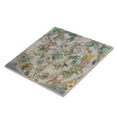 Zodのシンボルや象徴を示す天のPlanisphere タイル (側面)