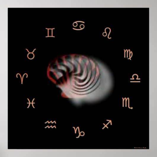 Zodiac Print ポスター (正面)