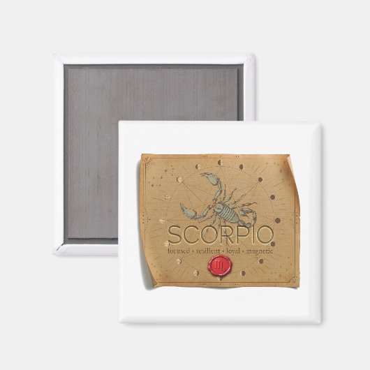 ZODIAC - Scorpio - Magnet マグネット (正面/裏面)