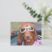 Zoeに乗る準備ができている ポストカード (スタンド正面)