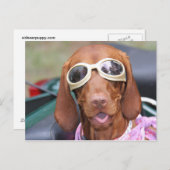 Zoeに乗る準備ができている ポストカード (正面/裏面)