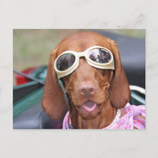 Zoeに乗る準備ができている ポストカード