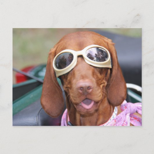 Zoeに乗る準備ができている ポストカード (正面)