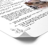 Zoe – ポスター (角)