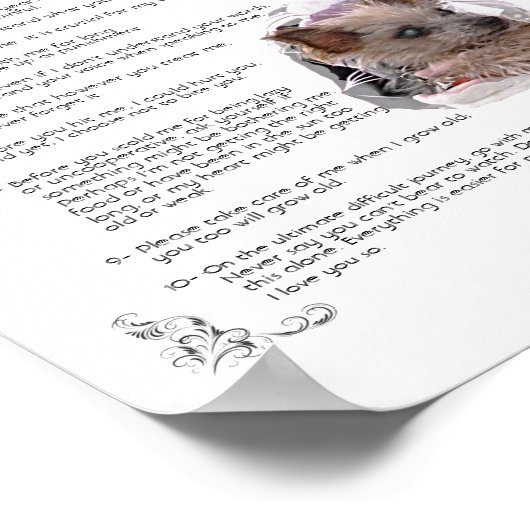 Zoe – ポスター (角)