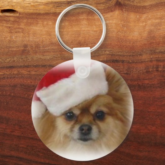 ZOE 2009 キーホルダー (正面)