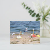 Zomer op het strand met de Fubby's ポストカード (スタンド正面)