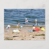Zomer op het strand met de Fubby's ポストカード (正面)