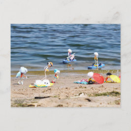 Zomer op het strand met de Fubby's ポストカード