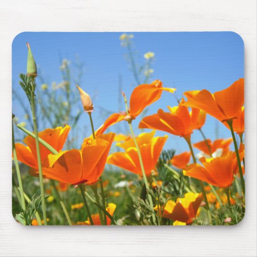 Zomers gevoel van wilde oranje bloemen. マウスパッド (正面)