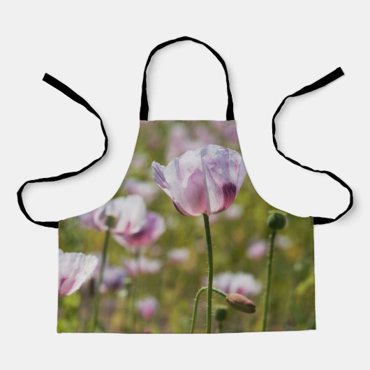 Zomers veld met  lila bloemen in bloei. エプロン (正面)