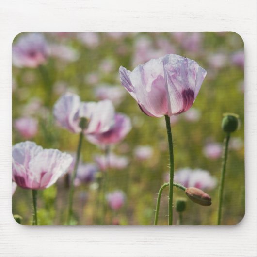 Zomers veld met lila bloemen in bloei. マウスパッド (正面)
