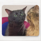 Zoned Out Catミーム・マウス・パッド マウスパッド (正面)