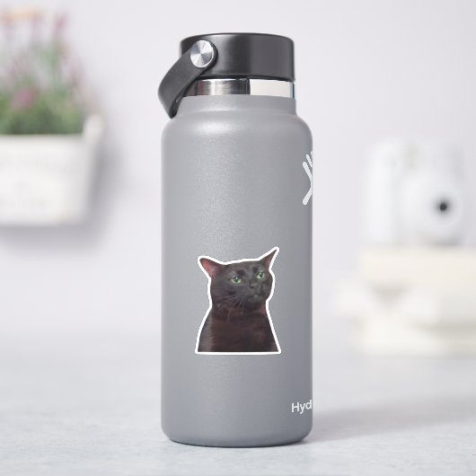 Zoned Out Cat、Black Cat Zoned Outミーム シール (HydroFlask)